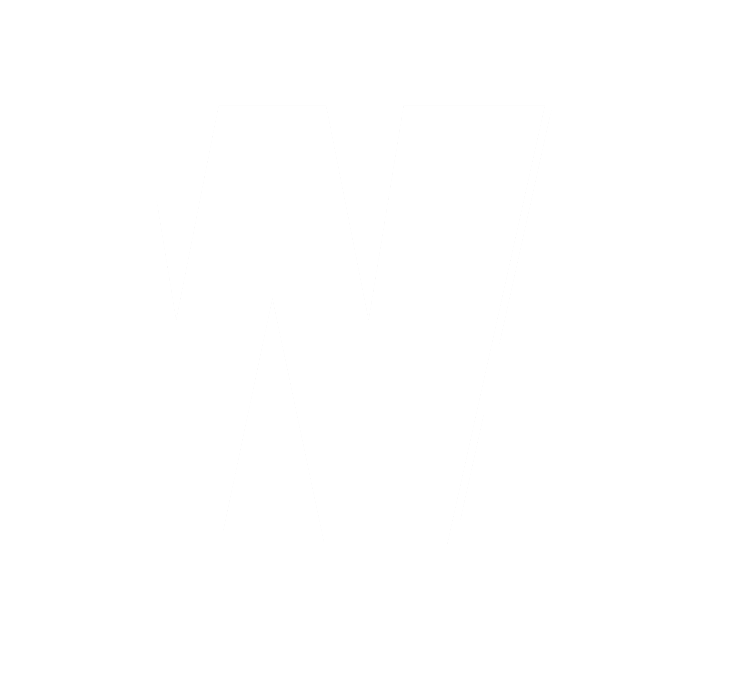 WVS Portfolio